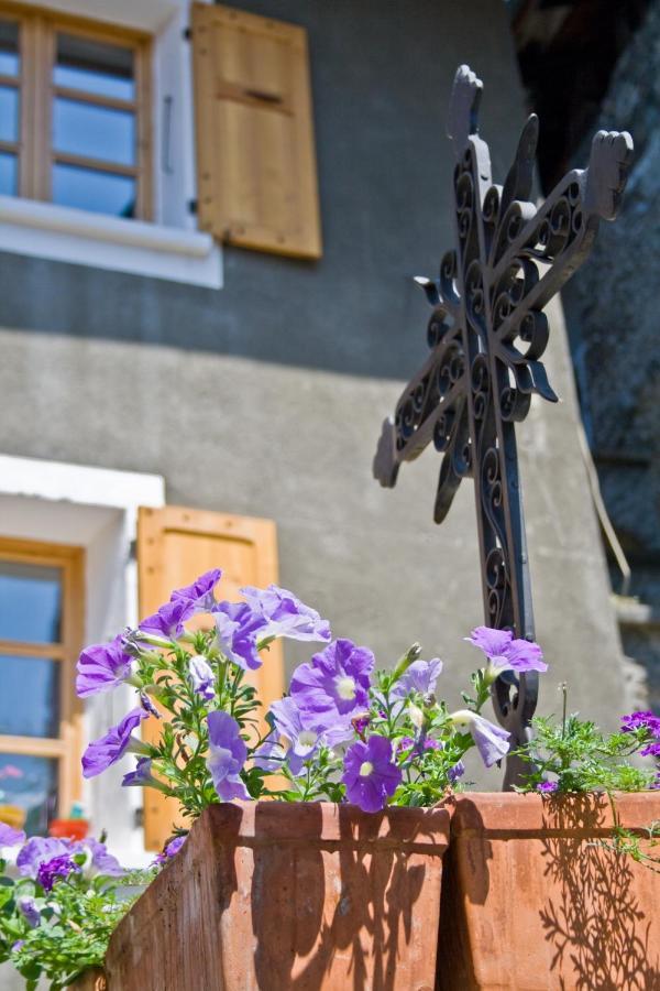 Au Cheval Blanc - Appartements Et Chambres D'Hotes Albertville Buitenkant foto
