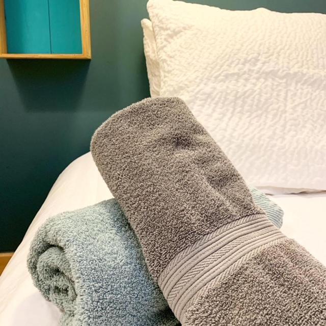 Au Cheval Blanc - Appartements Et Chambres D'Hotes Albertville Buitenkant foto