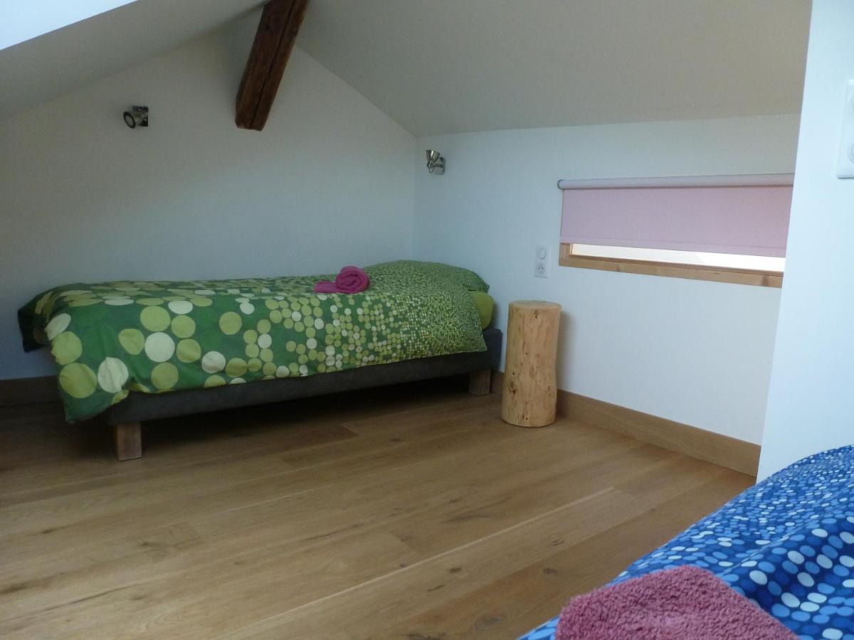 Au Cheval Blanc - Appartements Et Chambres D'Hotes Albertville Buitenkant foto