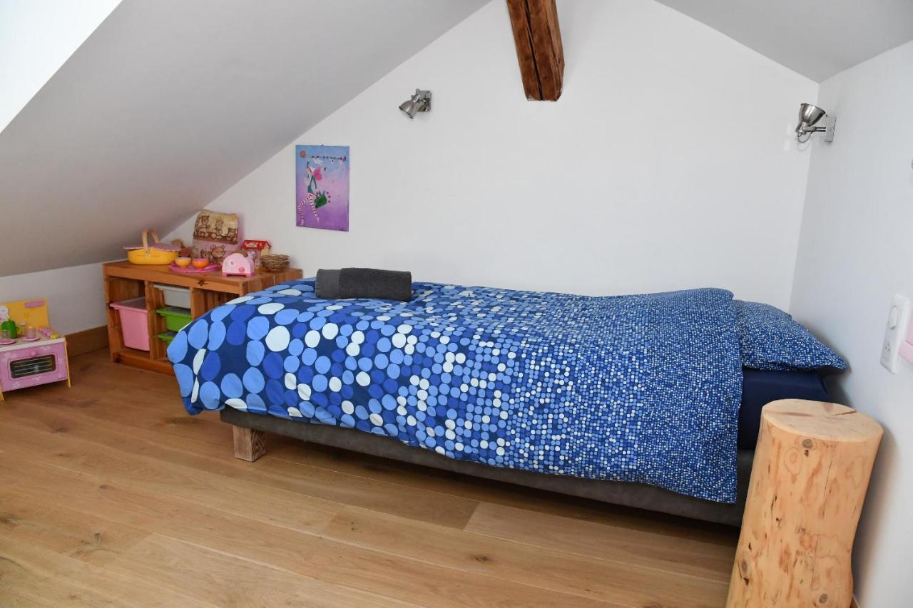 Au Cheval Blanc - Appartements Et Chambres D'Hotes Albertville Buitenkant foto