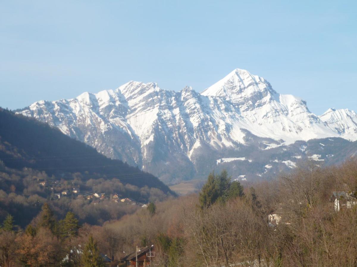 Au Cheval Blanc - Appartements Et Chambres D'Hotes Albertville Buitenkant foto