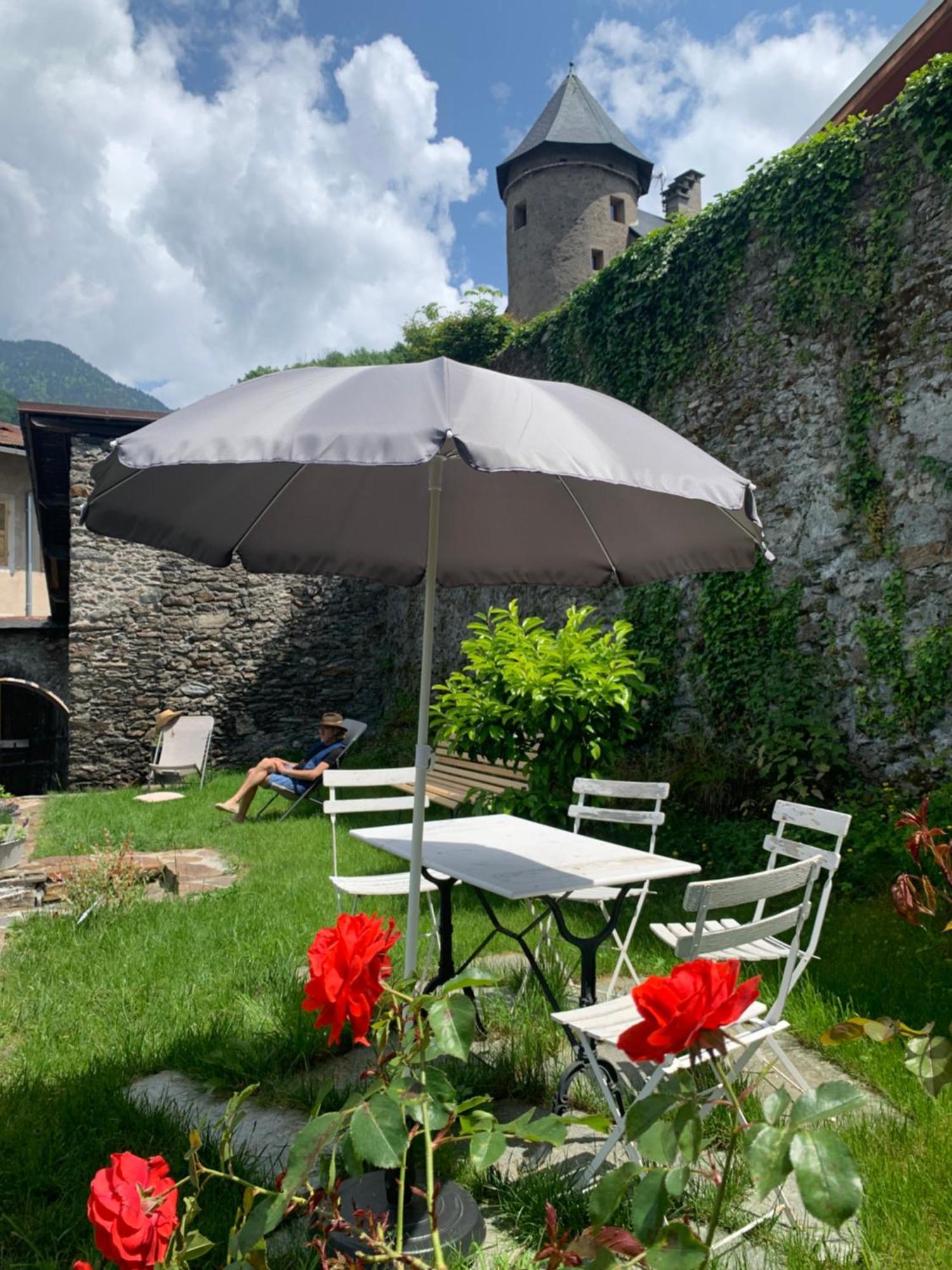 Au Cheval Blanc - Appartements Et Chambres D'Hotes Albertville Buitenkant foto